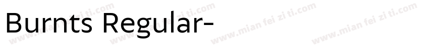 Burnts Regular字体转换